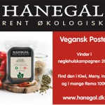 ann-hanegal-17-04