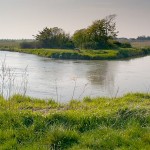 I  Storå i Vestjylland er bestanden af laks i dele af åen firedoblet på blot to år, viser tal fra DTU Aqua.  Den positive udvikling for laksen i Storå kommer efter et målrettet arbejde med at forbedre gyde- og opvækstområderne i åen, udsætning af lakseungfisk og ved at indføre begrænsninger i fiskeriet, for eksempel laksekvoter.