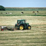 Randzonerne skal dæmme op for landbrugets egen forurening, men nu er regeringen villig til at sløjfe halvdelen.