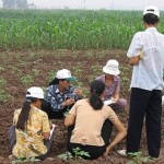 vietnam_2657-400x247